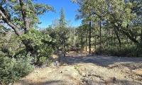 US Treasury Real Estate Auction - 13700 Deadmans Flat Road, Grass Valley, CA