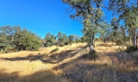 US Treasury Real Estate Auction - 13401 S. Ponderosa Way, Grass Valley, CA
