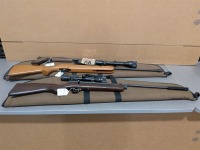 (3) Pellet Guns & Soft Cases