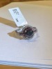 18K Gold, Black Diamond, Ruby Ring (Pompano Beach, FL) - 11