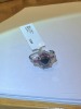 18K Gold, Black Diamond, Ruby Ring (Pompano Beach, FL) - 13