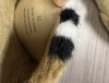 Burberry Shoes (Pompano Beach, FL) - 3