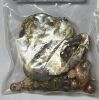 Melted Gold & Diamonds (Pompano Beach, FL) - 4