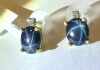 18K Gold, Blue Star Sapphire & Diamond Earrings (Pompano Beach, FL)