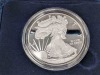 (8) Commemorative Silver Dollars - 3