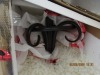 Household Personal Goods (Labeling Svcs/Puyallup, WA) - 6