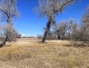 Agricultural Land - 4
