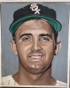 (15) Chicago White Sox Portrait Paintings by Andy Juranko (Dayton, NJ) - 8