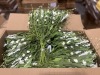 Artificial Floral Arrangements - EXPORT ONLY (Georgia Port/Garden City, GA) - 8