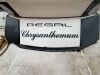 2018 Regal 35 Sport Coupe - 2022360050012101-001-0000 - 4