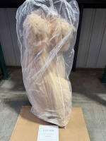 Wedding Gown (Honolulu, Hawaii)