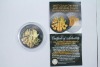 Gold & Black Ruthenium Viena philharmonic Coins (Laredo, TX) - 3