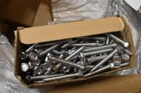 Screws (Brick Mt/Valley Stream, NY)