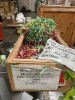 Handcrafted Sculpture (Custom Air/Carson, CA) - 2