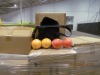 Miscellaneous Goods - EXPORT ONLY (Georgia Port/Garden City, GA) - 2
