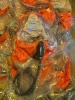 Breathing Equipment (Jose G Flores/Guaynabo, PR) - 3