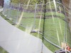 Mesh Wire (St George/Savannah, GA) - 4
