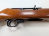 Ruger 10/22 Carbine - 3