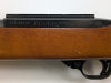 Ruger 10/22 Carbine - 8
