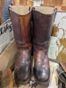 Western Themed Decor & Collectibles - 5
