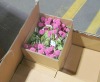 Artificial Flower Arrangements - EXPORT ONLY (Georgia Port/Garden City, GA) - 3