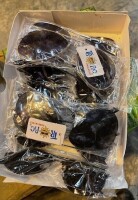 Sunglasses (Jose G Flores/Guaynabo, PR)
