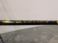 (3) Deep Fishing Poles