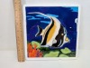 Ceramic Tiles - 14