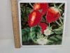 Ceramic Tiles - 18