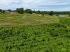 Estate Property - 66