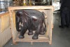 Wooden Elephant Statue (Magno/Miami, FL) - 2