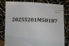 Stainless Steel Chain (Magno/Miami, FL) - 2