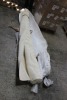 Carpet (Ports Intl/Miami, FL)