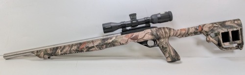 Ruger 10/22 Rifle