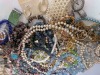 Costume Jewelry - 5