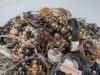 Fashion Jewelry & Watches - 7