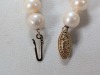 Pearl Necklace w/ 14K Yellow Gold Clasp - 4
