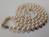 Pearl Necklace w/ 14K Yellow Gold Clasp - 6