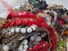 Costume Jewelry - 10