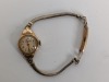(9) Fashion Watches - 19