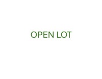 OPEN LOT
