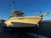 1988 25' Pursuit 2550 Walkaround (Spring Valley, CA) - 2026565800018602-002-0000