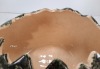 Pottery World Calif E3 USA Dinosaur Egg Bowl - 6