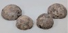 (4) Geodes - 3