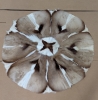 (2) Animal Pelt Rugs & (3) Animal Pelt Stool Seat Covers - 4