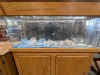 Fish Tank, End Table & More - 14