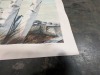 (5) Ctns Artwork - 44