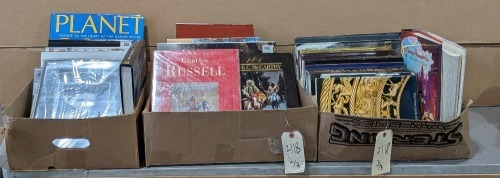 (3) Ctns of Art Books