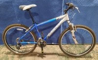 Schwinn Mountain Bike