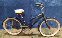 Rover Beach Cruiser